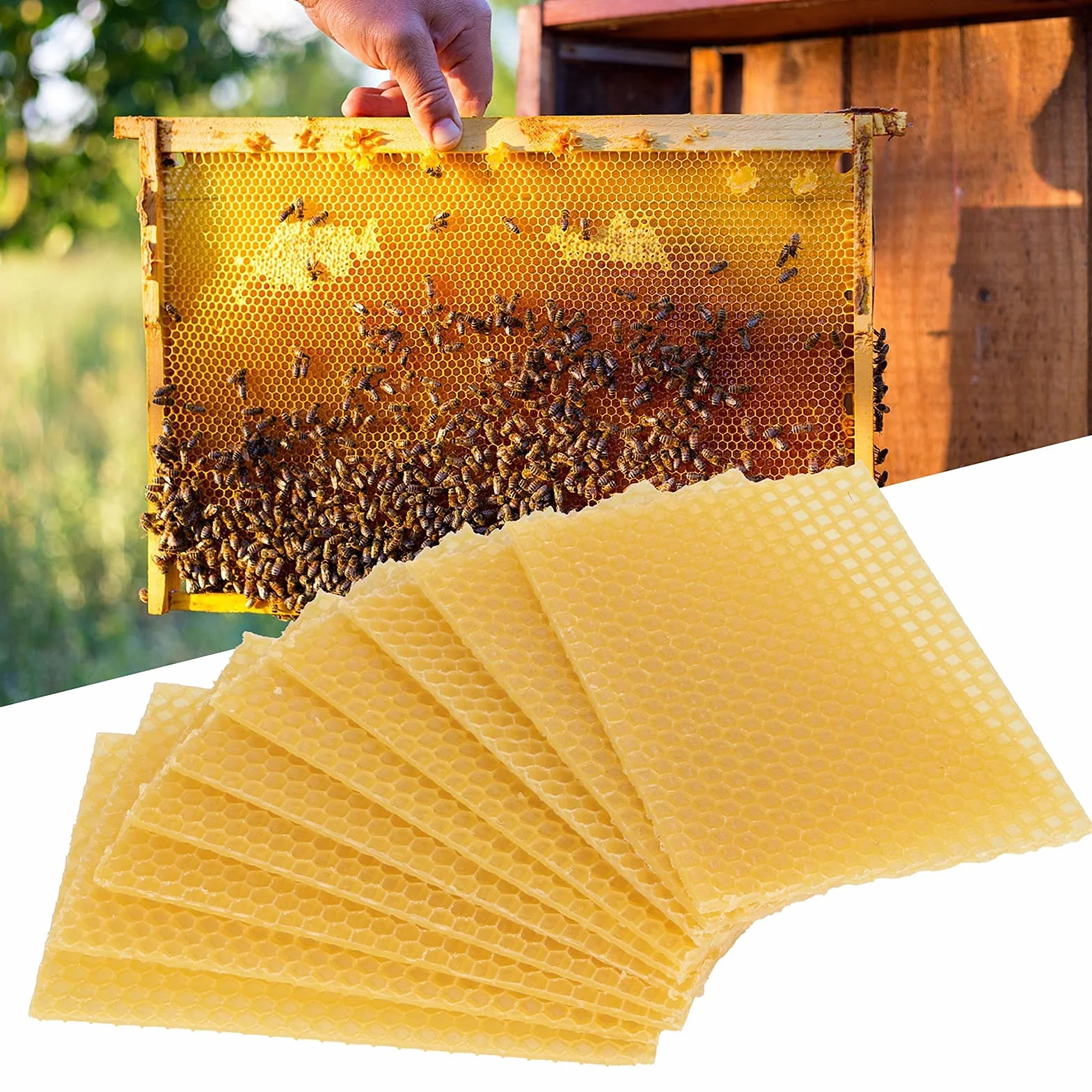 10 arkuszy Naturalna struktura plastra miodu Wosk pszczeli, miodowe płatki wosku pszczelego Podstawa gniazda, pszczelarstwo, baza wosku pszczelego, rama z wosku ula