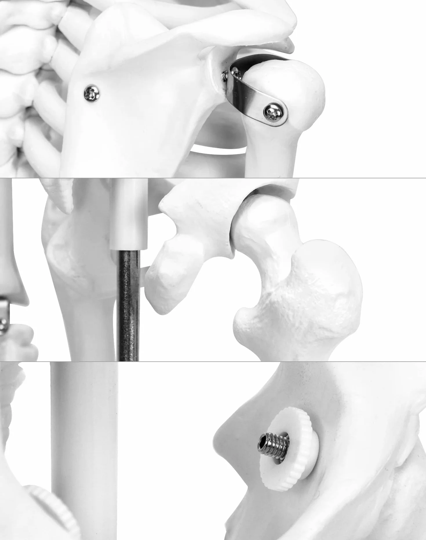 QWORK Model anatomiczny szkieletu człowieka 85 cm narzędzie do nauczania medycznego