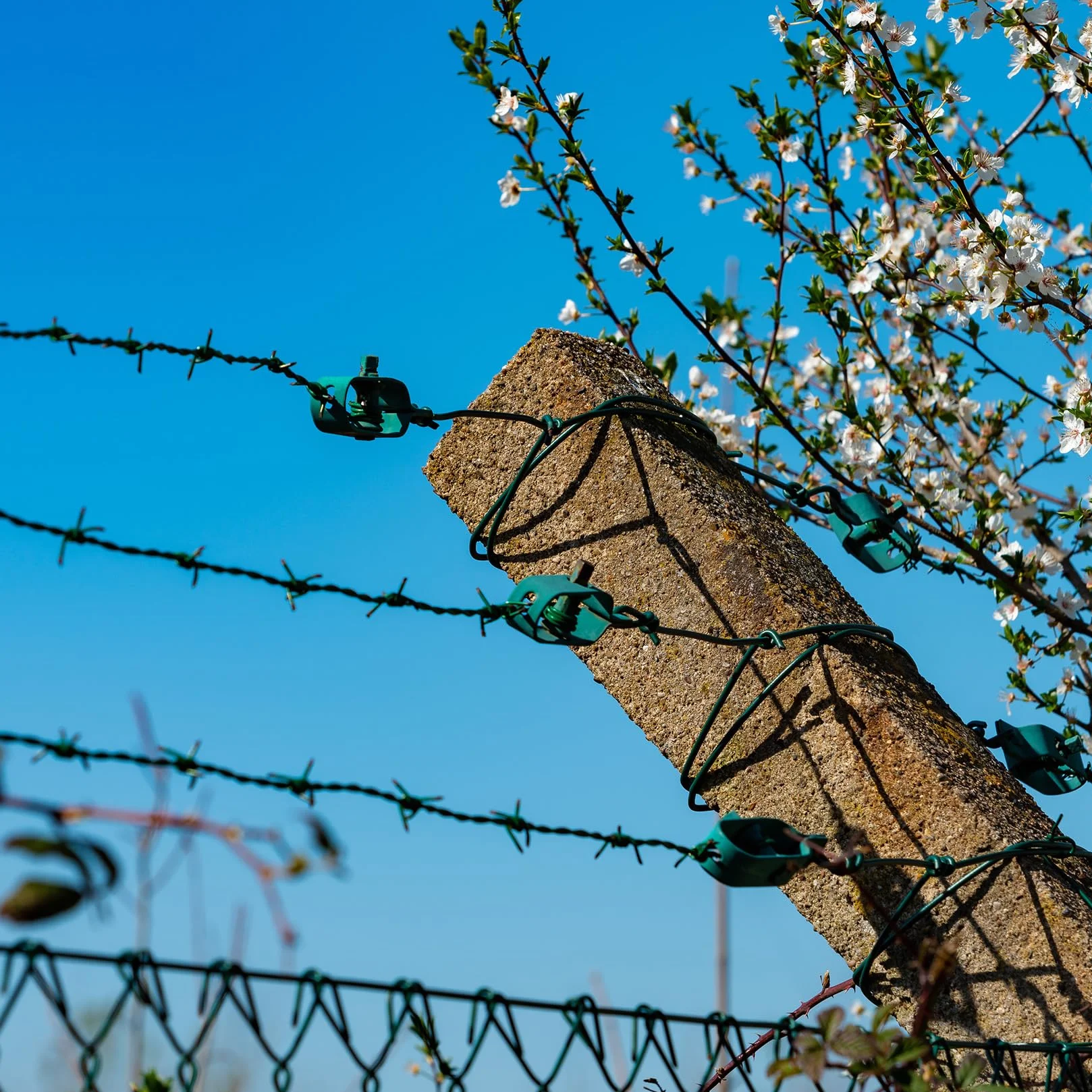 Napinacze do drutu z ocynkowanej stali, napinacz do ogrodzeń, zielony