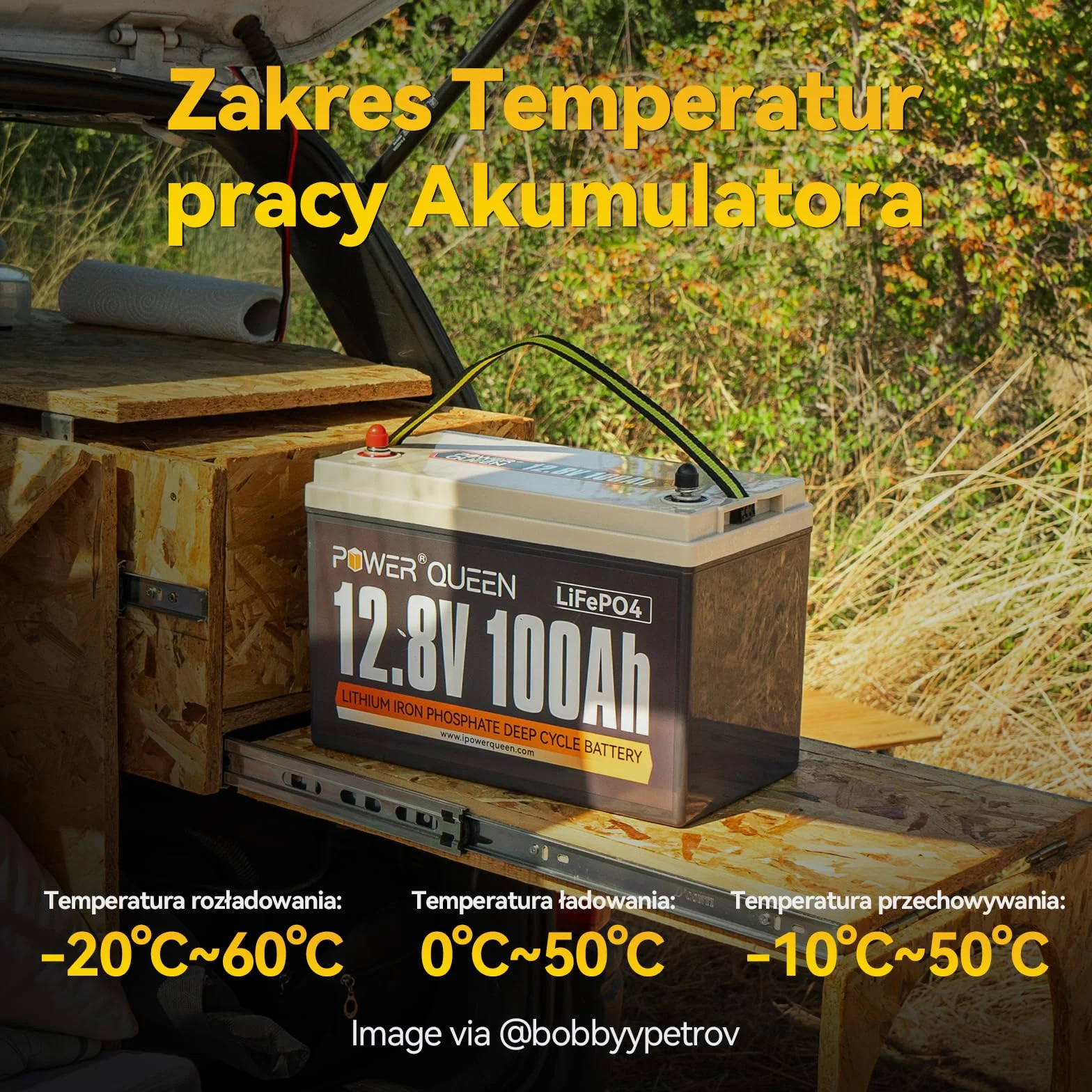 Power Queen 12V 100Ah LiFePO4 Battery 1280Wh Lithium-Iron Battery with 100A BMS Deep Cycles for Camper RV Solar System