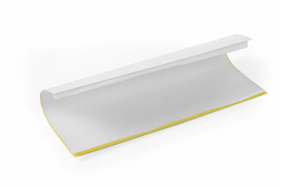HENDI Taśma klejąca do lampy owadobójczej 270196 i 270080 - zestaw 10 szt.