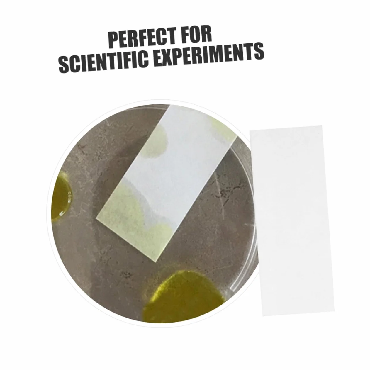 200kawałki Sztuk Pasków Papieru Chromatograficznego Do Eksperymentów Naukowych Do Separacji Pigmentów i Kolorów Laboratoriach