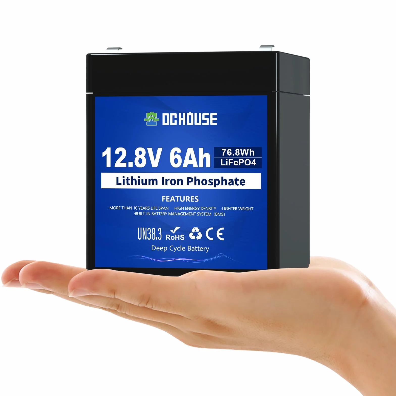 DCHOUSE 12 V 6 Ah Mini akumulator litowy LiFePO4 o głębokim cyklu, 3000 cykli akumulator litowo-żelazowo-fosforanowy do UPS, oświetlenia, kół zasilających, wykrywacza ryb i kampera, wbudowany BMS