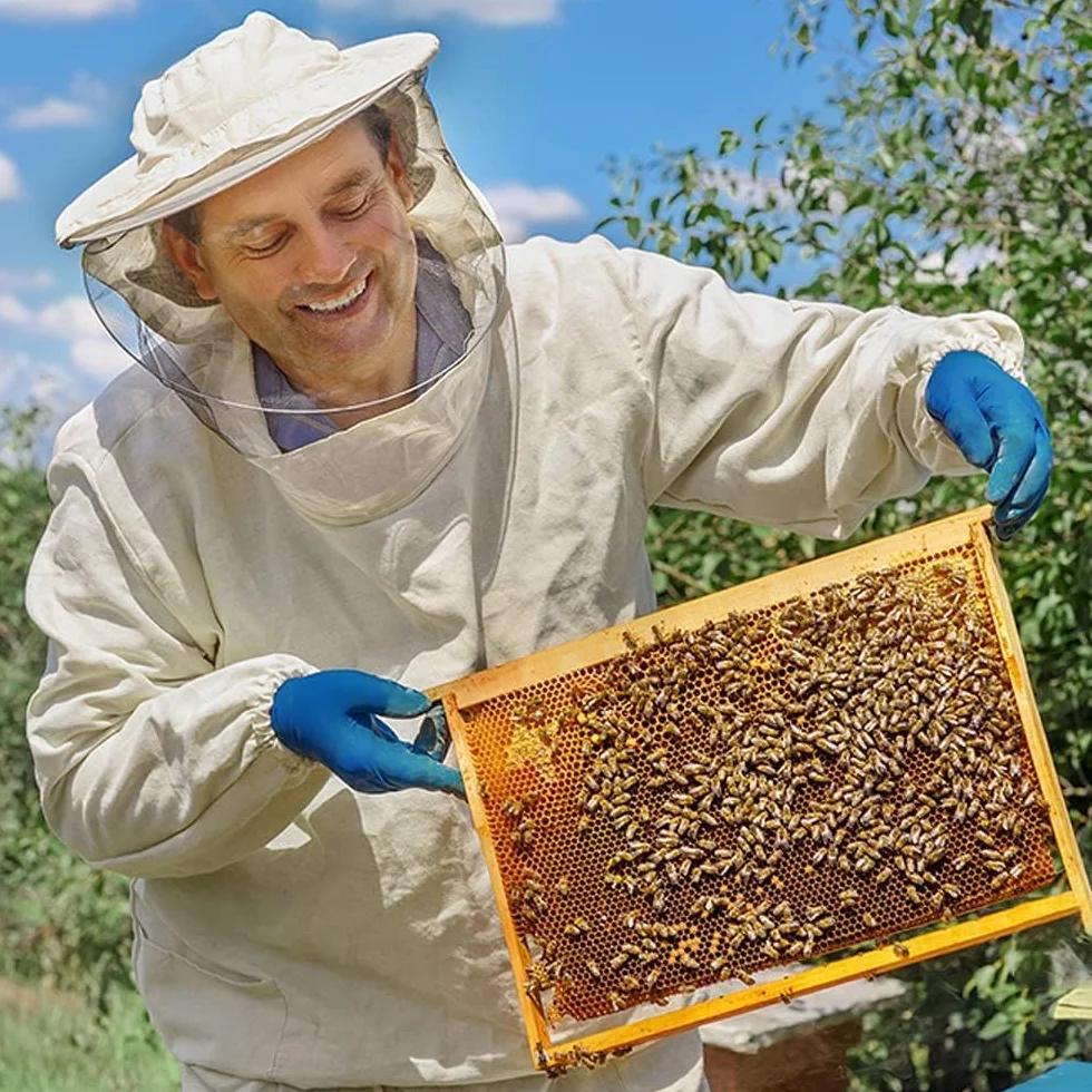 10 arkuszy Naturalna struktura plastra miodu Wosk pszczeli, miodowe płatki wosku pszczelego Podstawa gniazda, pszczelarstwo, baza wosku pszczelego, rama z wosku ula